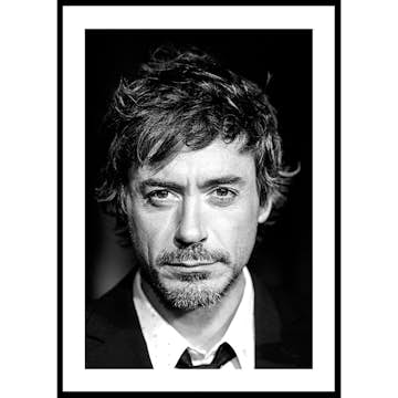 Poster Gallerix Robert Downey Jr