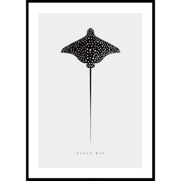 Poster Gallerix Eagle Ray