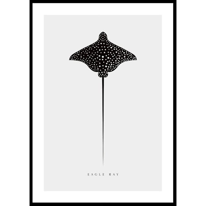 Poster Gallerix Eagle Ray