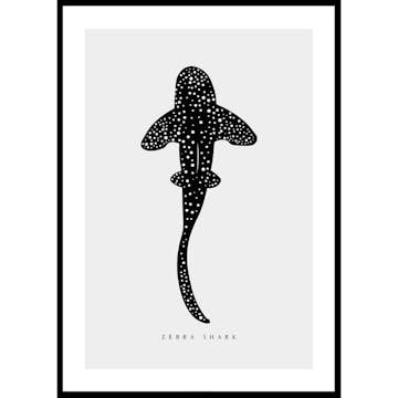 Poster Gallerix Zebra Shark