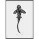 Poster Gallerix Zebra Shark