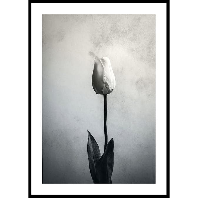 Poster Gallerix Serendipity