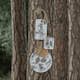 Bricka Åry Trays Pine Cone Rund