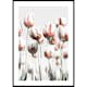 Poster Gallerix Dutch Tulips