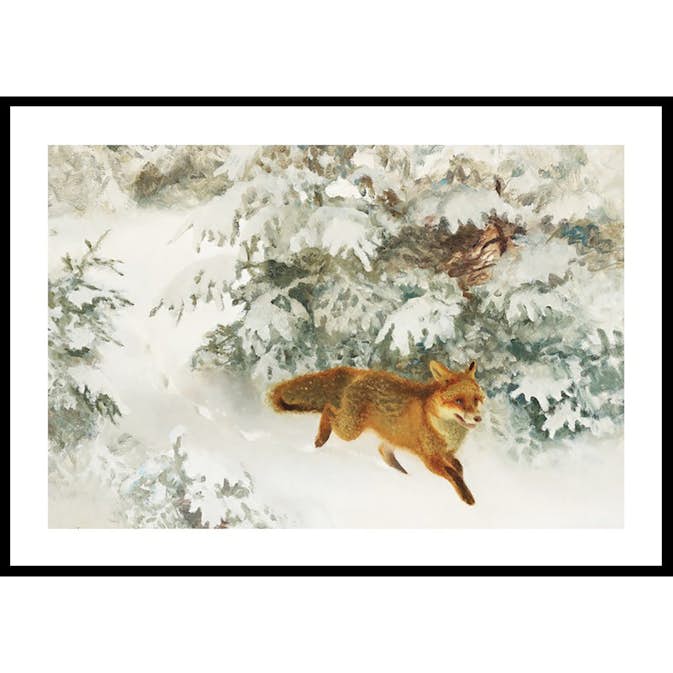 Poster Gallerix Räv i Vinterlandskap By Bruno Liljefors No1