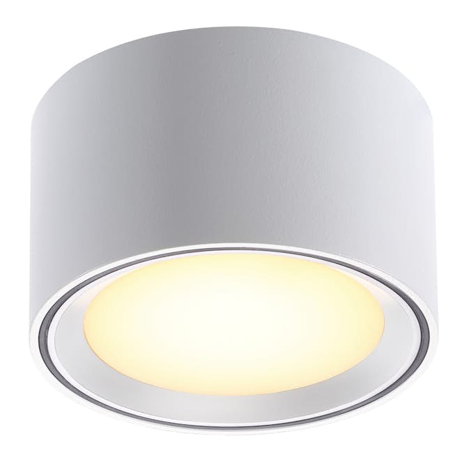 Taklampa Nordlux Fallon 60