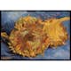 Poster Gallerix Sunflowers By Vincent van Gogh