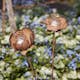 Solcellsdekoration Star Trading Oxida LED 2-pack Blommor