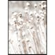 Poster Gallerix Snow Covered Dried Flowers