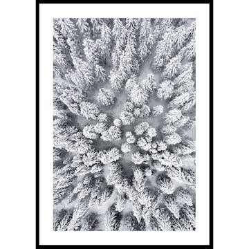Poster Gallerix Snow Forest Aerial