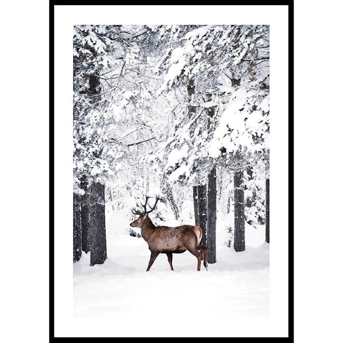 Poster Gallerix Deer In Snow