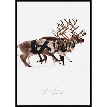 Poster Gallerix Santa Claus And Reindeer Part3
