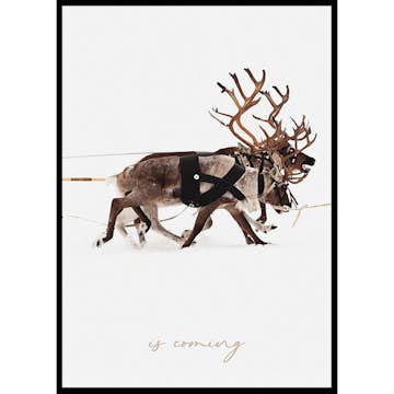 Poster Gallerix Santa Claus And Reindeer Part2