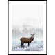 Poster Gallerix Deer In Field