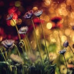 Tapet Idealdecor Flowers And Lights