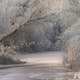 Tapet Idealdecor Frozen Forrest
