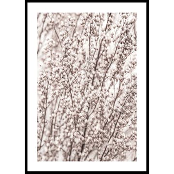 Poster Gallerix Boho Botanical