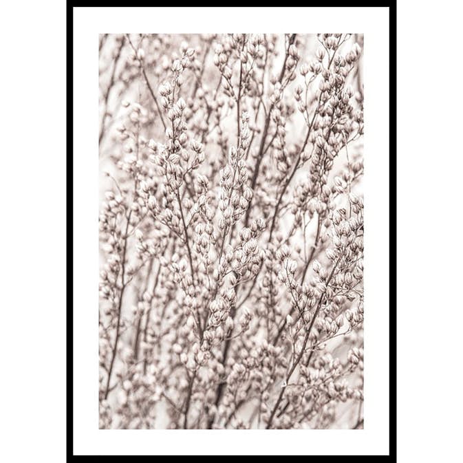 Poster Gallerix Boho Botanical