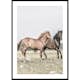Poster Gallerix Two Brown Horses