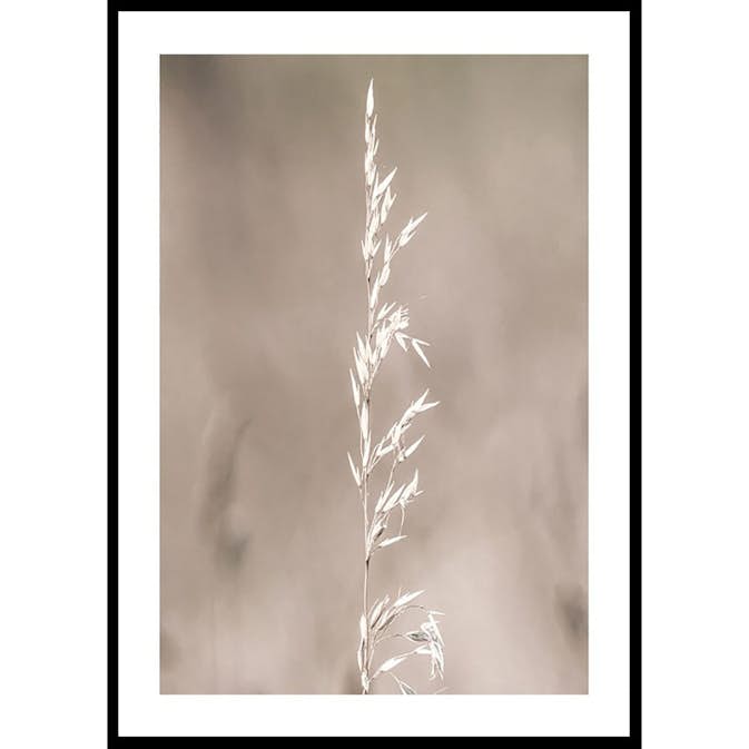 Poster Gallerix Boho Dried In Nature No4