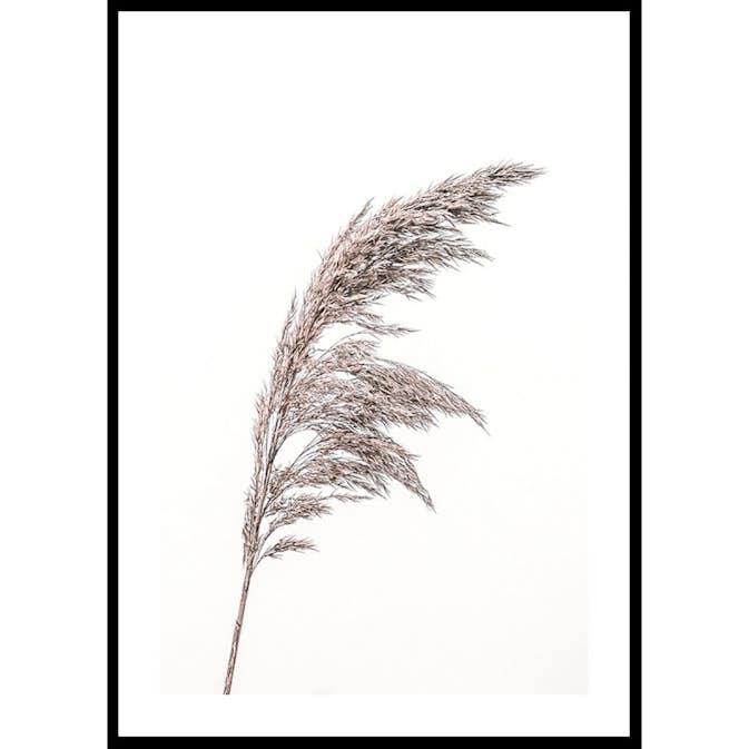 Poster Gallerix Boho Dried In Nature No3