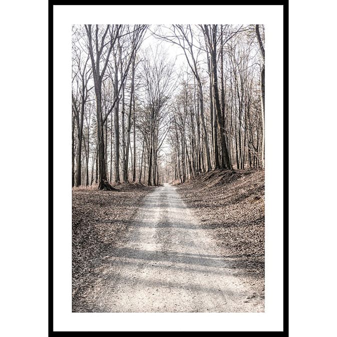 Poster Gallerix Gravel Road In Autumn Forest