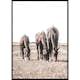 Poster Gallerix Three Brown Horses