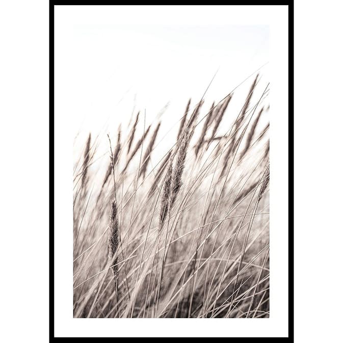 Poster Gallerix Boho Dried In Nature No1