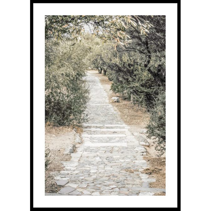 Poster Gallerix Olive Tree Garden