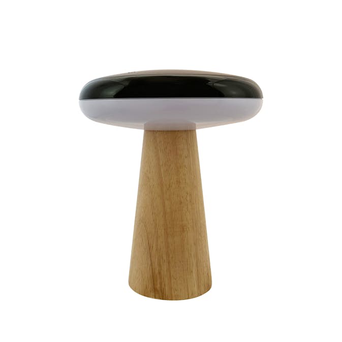 Bordslampa Dyberg Larsen 2 Ways