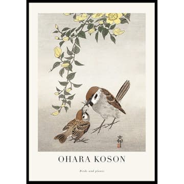 Poster Gallerix Birds And Plants No2 By Ohara Koson