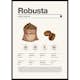 Poster Gallerix Robusta Coffee Beans