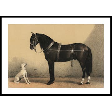 Poster Gallerix Horse And Hound