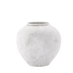 Vas Venture Home Globe