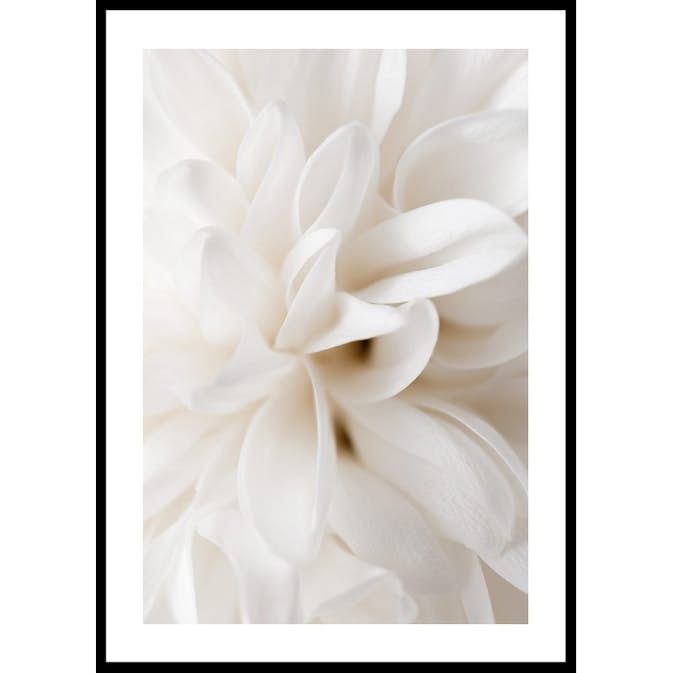 Poster Gallerix Boho Flowers No2