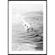 Poster Gallerix California Surfers On Waves B&W