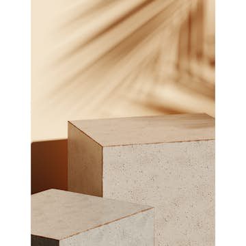 Posters Venture Home Sunflow Beige