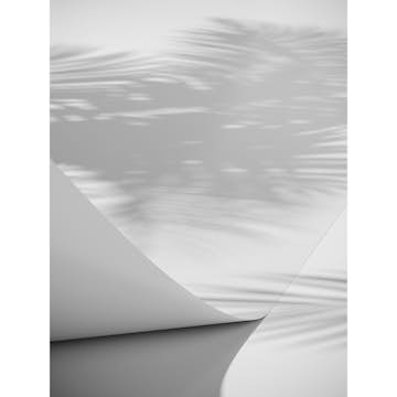 Posters Venture Home Papyrus 50x70 Vit