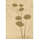 Posters Venture Home Flower Art Beige