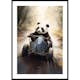 Poster Gallerix Panda Race Driver