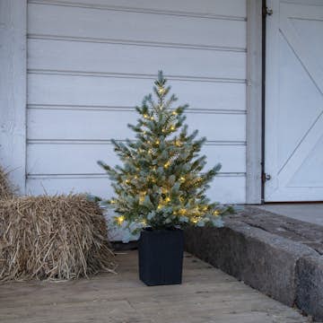 Bordsdekoration Star Trading GranGreyland95 cm 80Lb