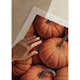 Poster Gallerix Pumpkins