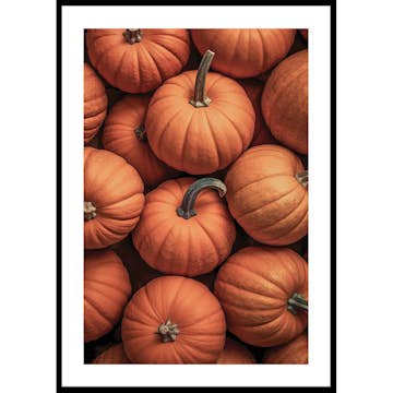 Poster Gallerix Pumpkins