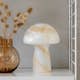 Bordslampa Globen Lighting Fungo Beige