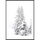 Poster Gallerix Snow Covered Pine Trees