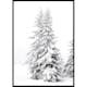 Poster Gallerix Snow Covered Pine Trees