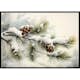 Poster Gallerix Snow Covered Pine Cones