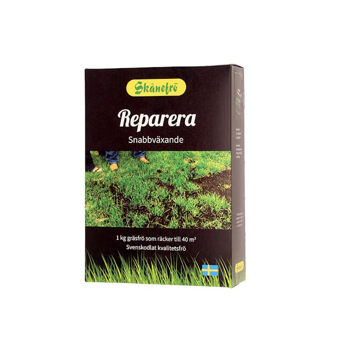 Gräsfrö Skånefrö Reparera 1 kg - 40m² Gräsmatta