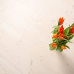 Massivt Trägolv DalaFloda SoftSpruce Pearl, Vittonat 1-Stavs Grangolv