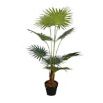 Konstväxt Lykke Fan Palm